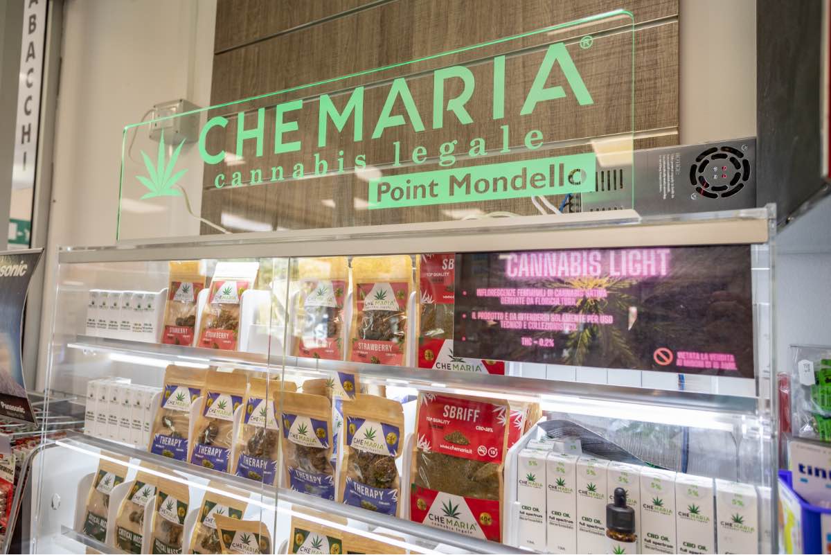 01 | POINT/FRANCHISING Che Maria