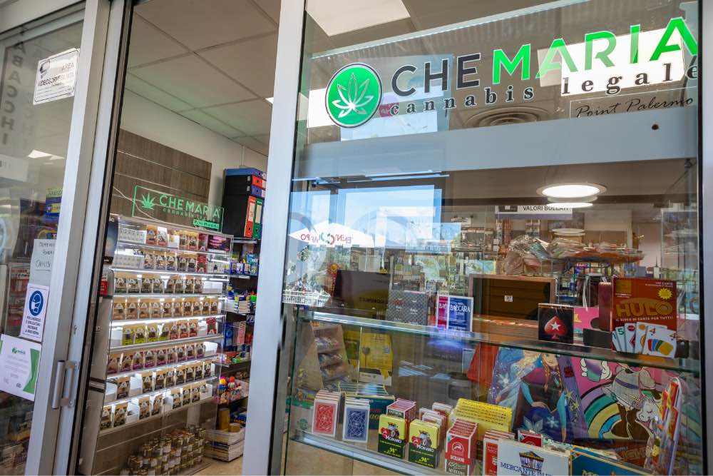 01 | POINT/FRANCHISING Che Maria