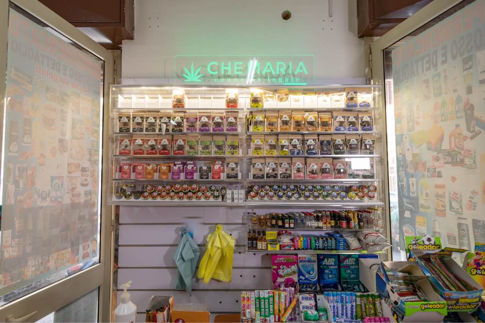 01 | POINT/FRANCHISING Che Maria