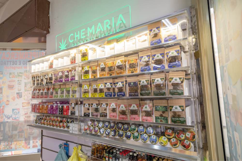 01 | POINT/FRANCHISING Che Maria